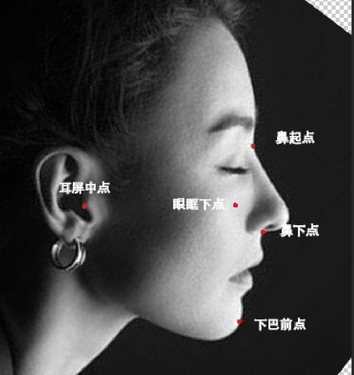 完美侧颜应该长啥样？ - 知乎