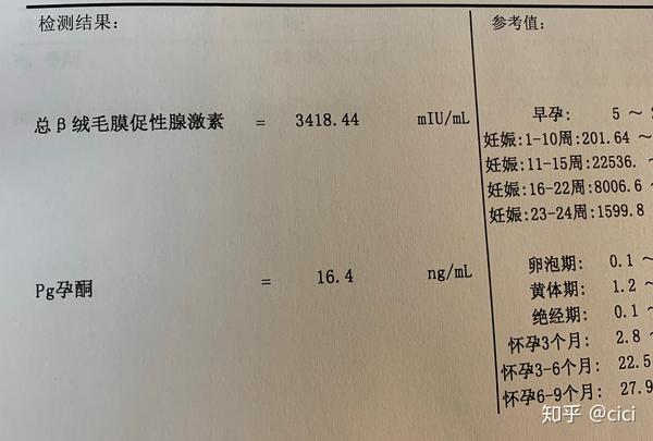 我的宫外孕经历 知乎