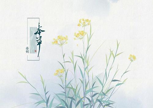 pl在医学中是什么意思天地医学-从中医药典籍认识祝油_https://www.jmylbn.com_新闻资讯_第5张