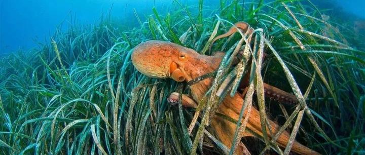 我的周刊 第008期 知乎