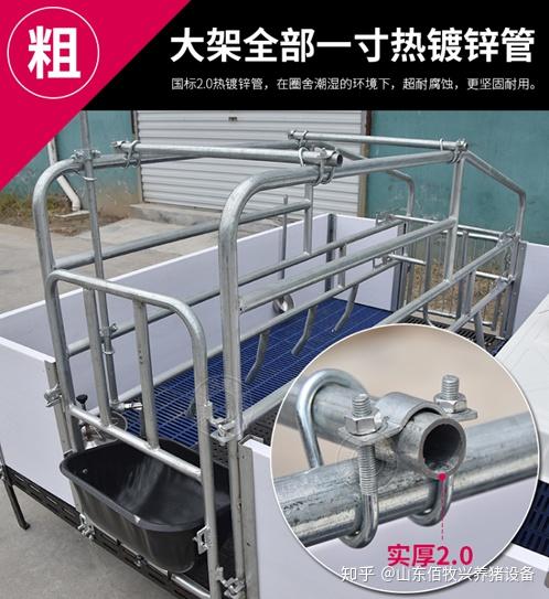 新型母猪产床结构及价格介绍