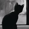 user-profile-image