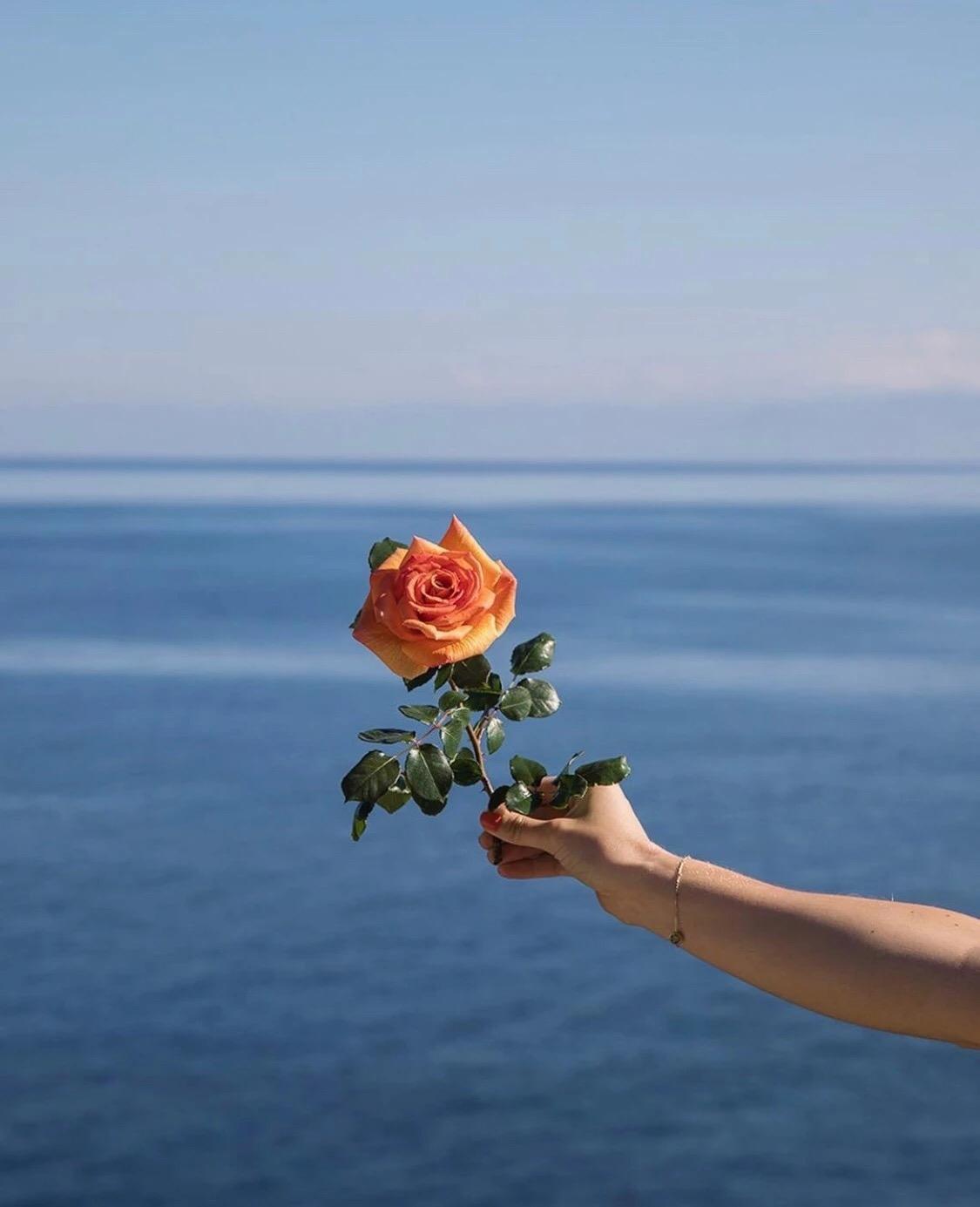 有哪些好看的微信背景图,可以分享一下吗? - 知乎