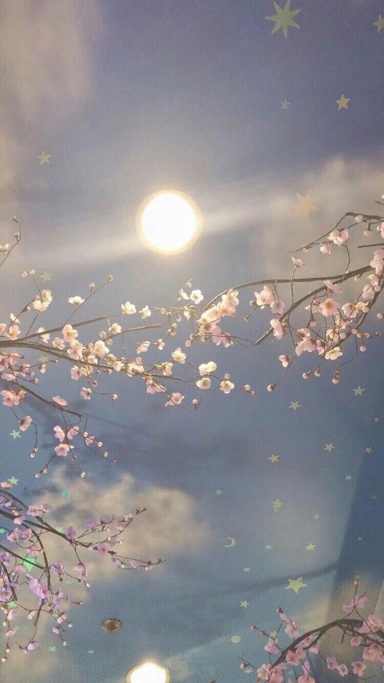 有哪些好看的锁屏壁纸