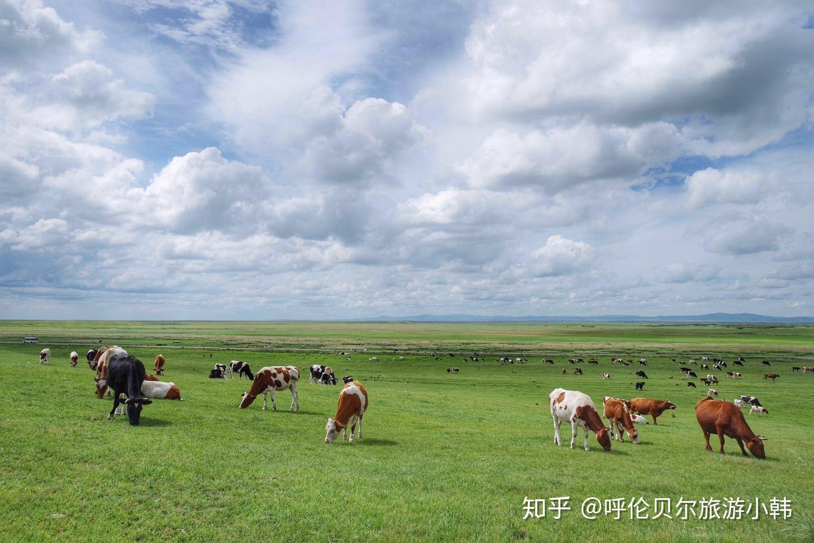 2020年去内蒙古旅游的最佳时间 怎么去呼伦贝尔大草原-铂爵(伯爵)旅拍婚纱摄影