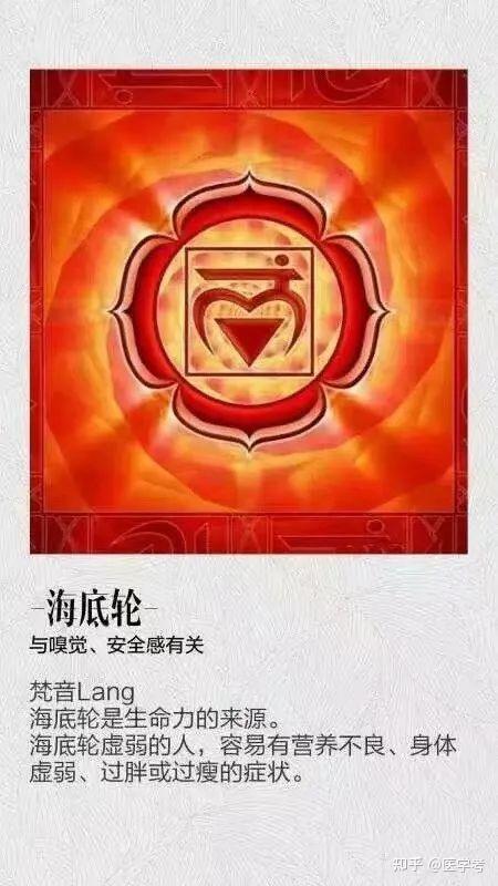 生存能量中心"海底轮"与人体安全感之间的隐秘关系