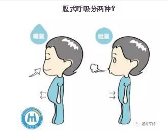 胸式呼吸 腹式呼吸的孰是孰非 下 一步一步学呼吸 6 知乎