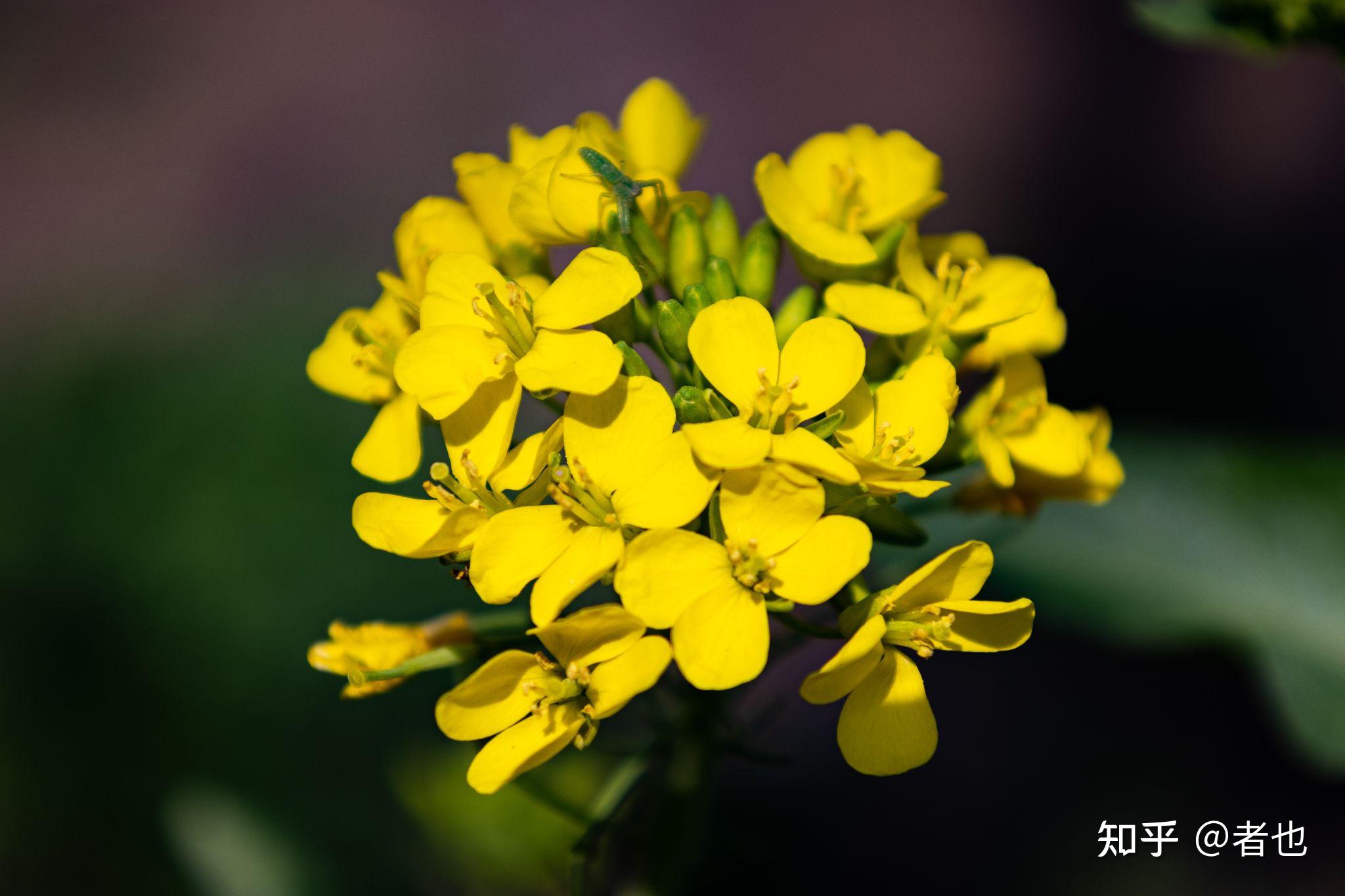 请问"拍风光"是必须用低感光度,上脚架,以创作为目的吗?