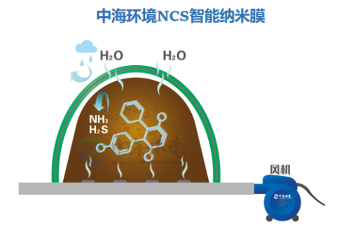 分子膜堆肥技术有什么优势