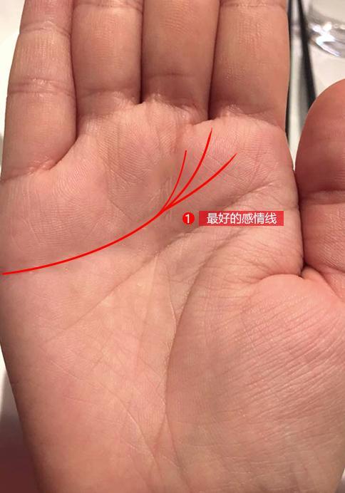 仁澤易道 手相中最好的感情线就是长且弧度吉 知乎 仁澤易道 手相中最好的感情线就是长且弧度吉 知乎