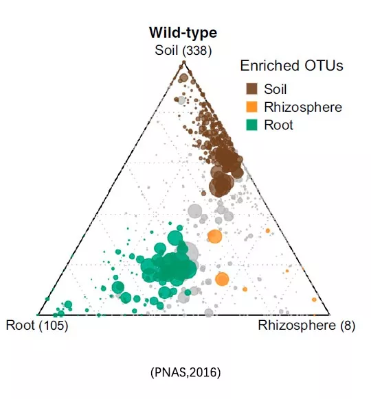 生信绘图用originpro绘制三元气泡散点图图