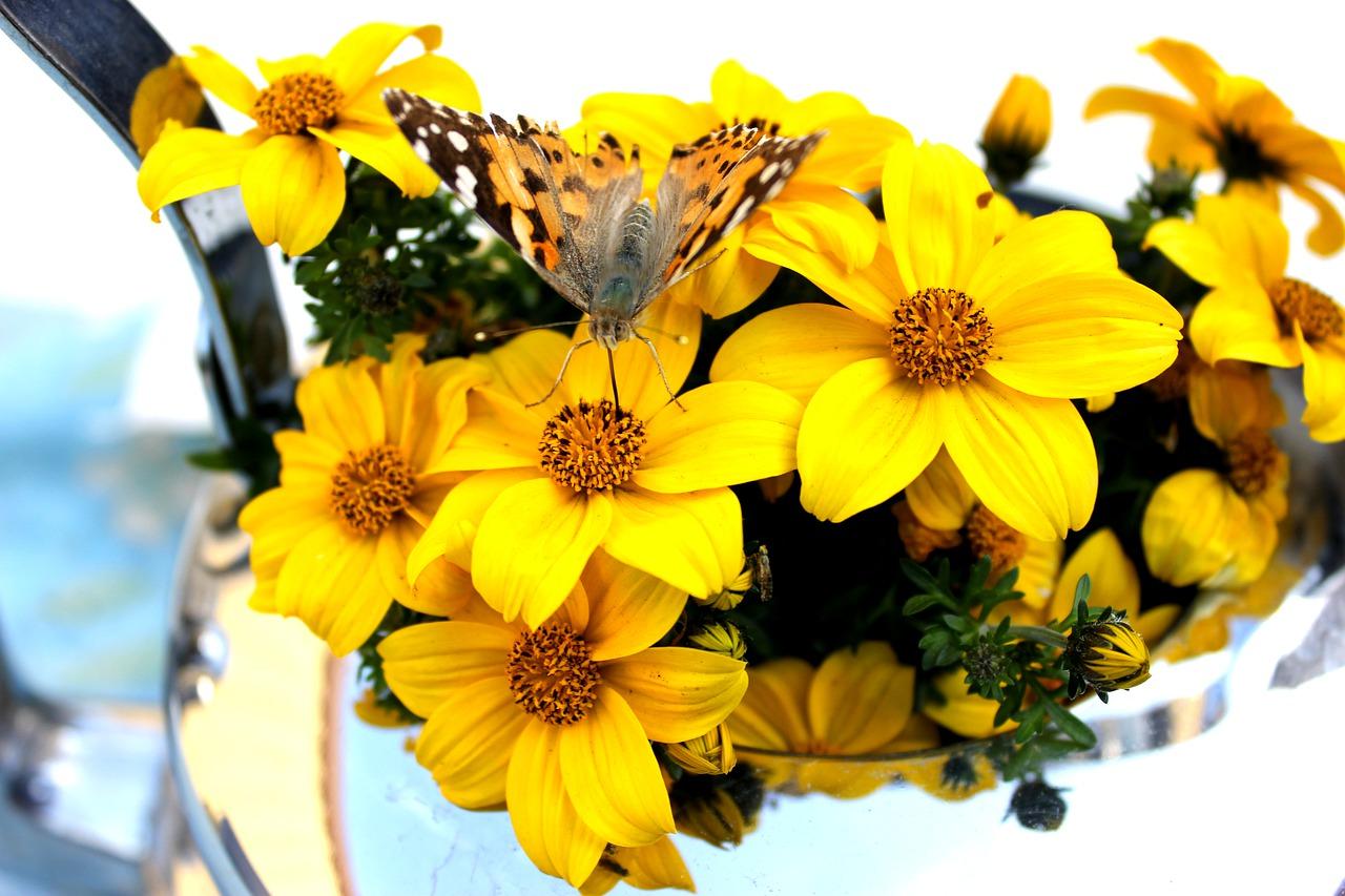 3. 保持适当湿度