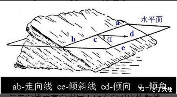 信手剖面图图片