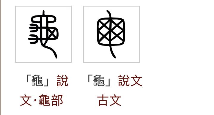 「龟」的繁体字有这么多种写法，我们应该选择哪一个呢？ - 知乎