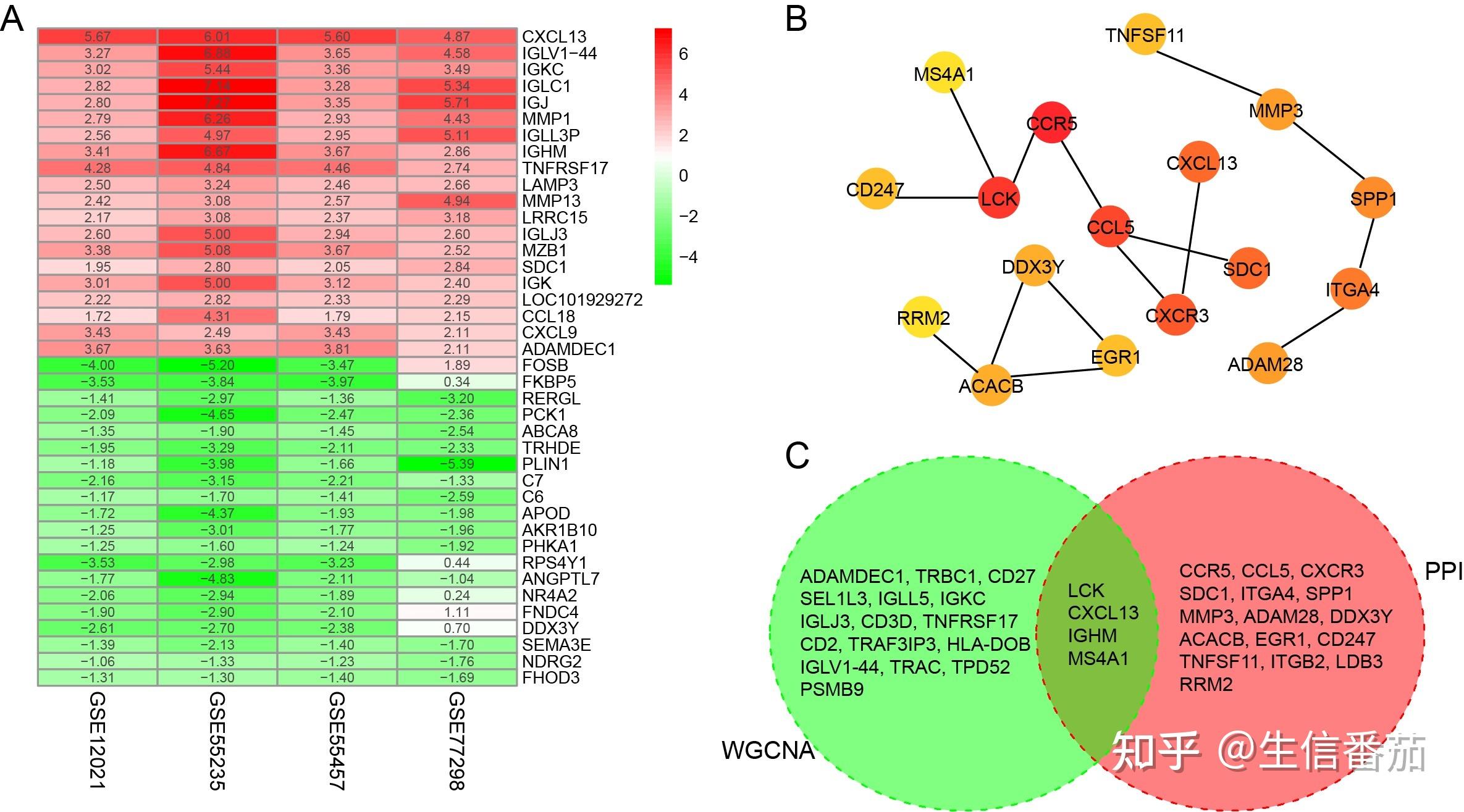 如何快速筛选关键基因可以试试PPI网络 WGCNA外加免疫浸润分析直接搞定4分 纯生信文章 知乎