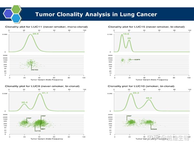 Genomic Landscape of Non-Small Cell Lung Cancer in Smokers and Never ...