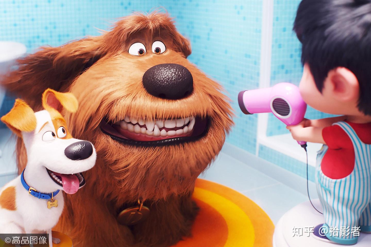 关于狗狗的动画片 zhuanlan.zhihu.com