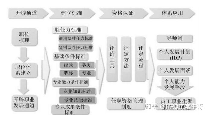 职业发展通道双通道图片