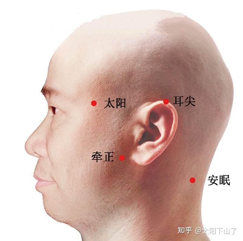 耳垂后安眠位置图片图片