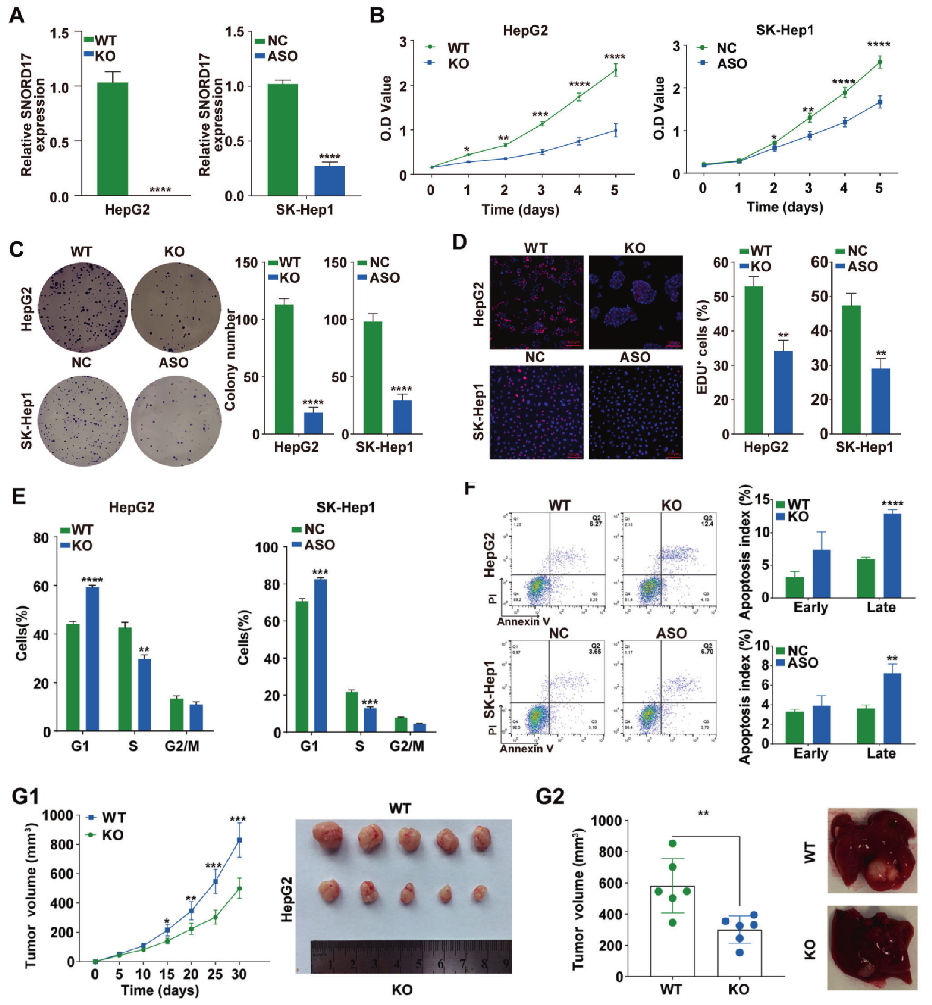 crisprcas9助力肝細胞癌hcc免疫治療等研究