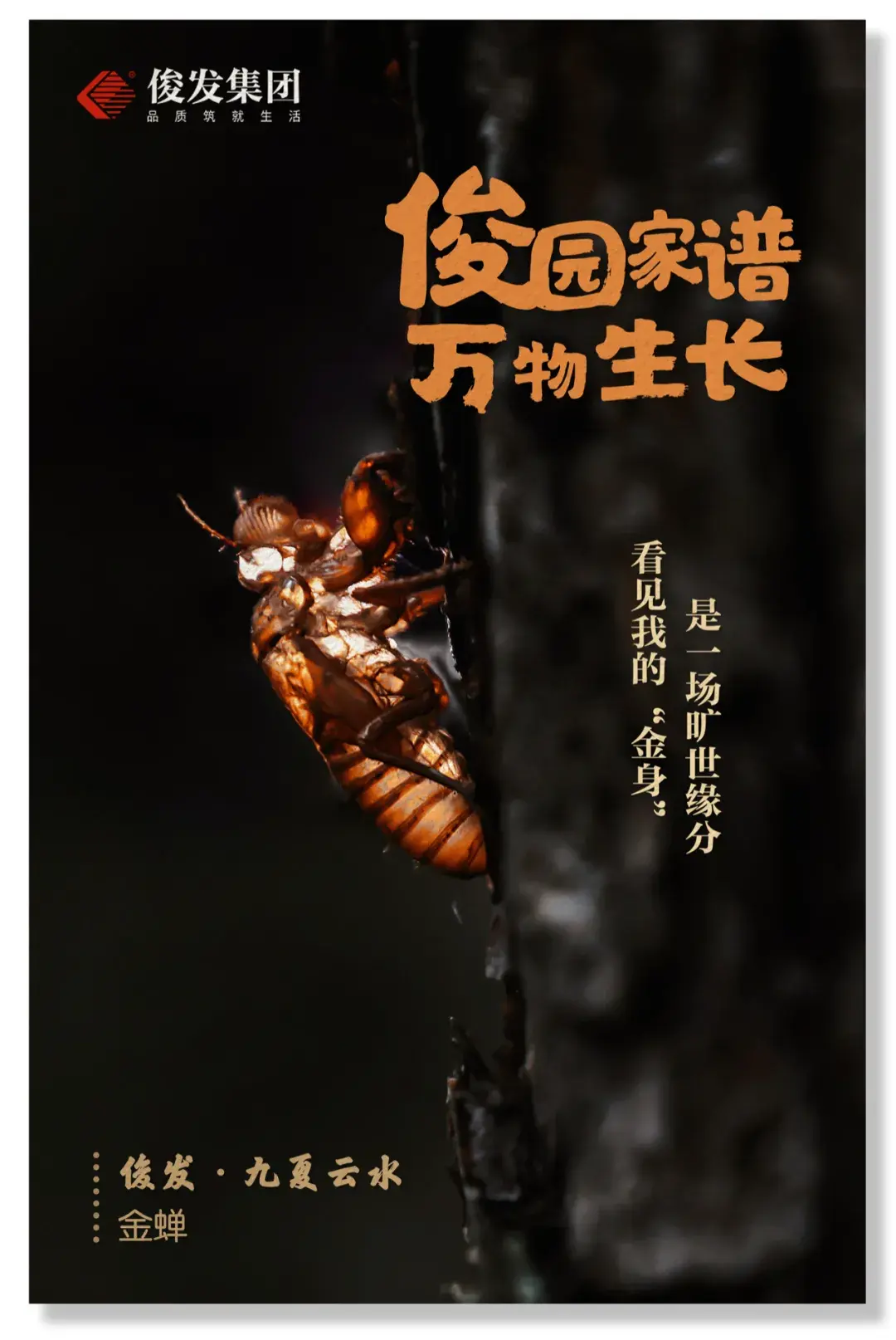 俊发生物多样性明信片上线看完想送谁