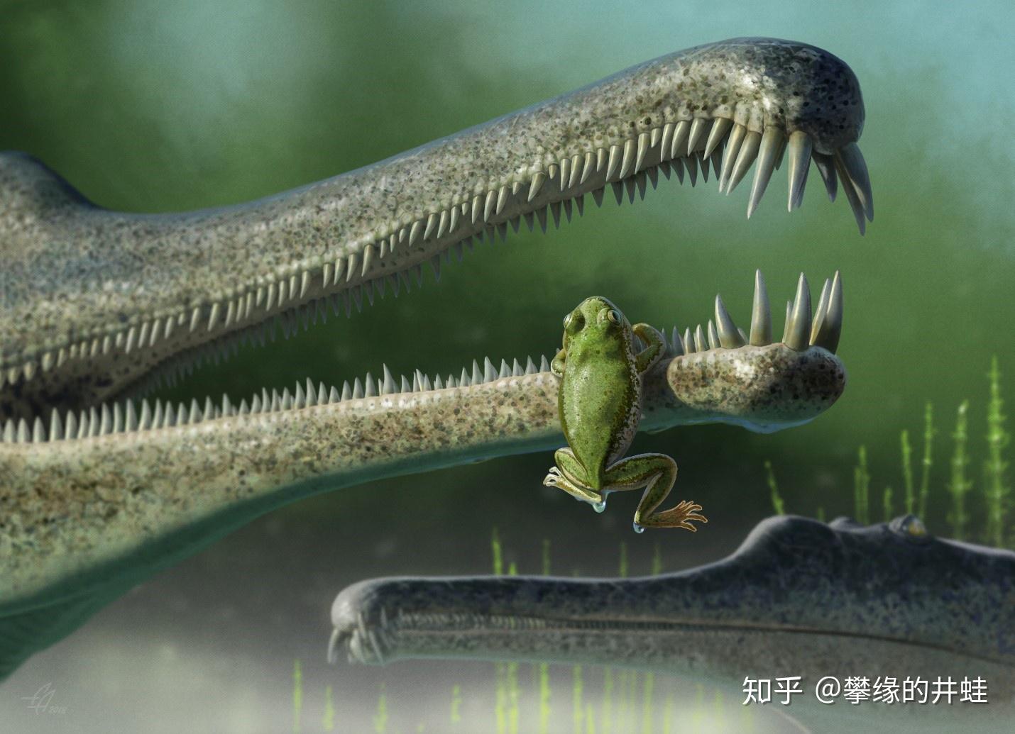【地球演义】中生代-三叠纪-城头变幻大王旗(下) - 知乎
