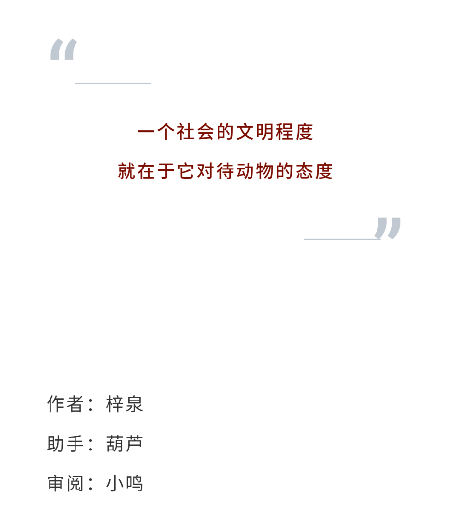v2-a3fbb35c49b7bf83a204f9ae1ceae4d8_r.jpg