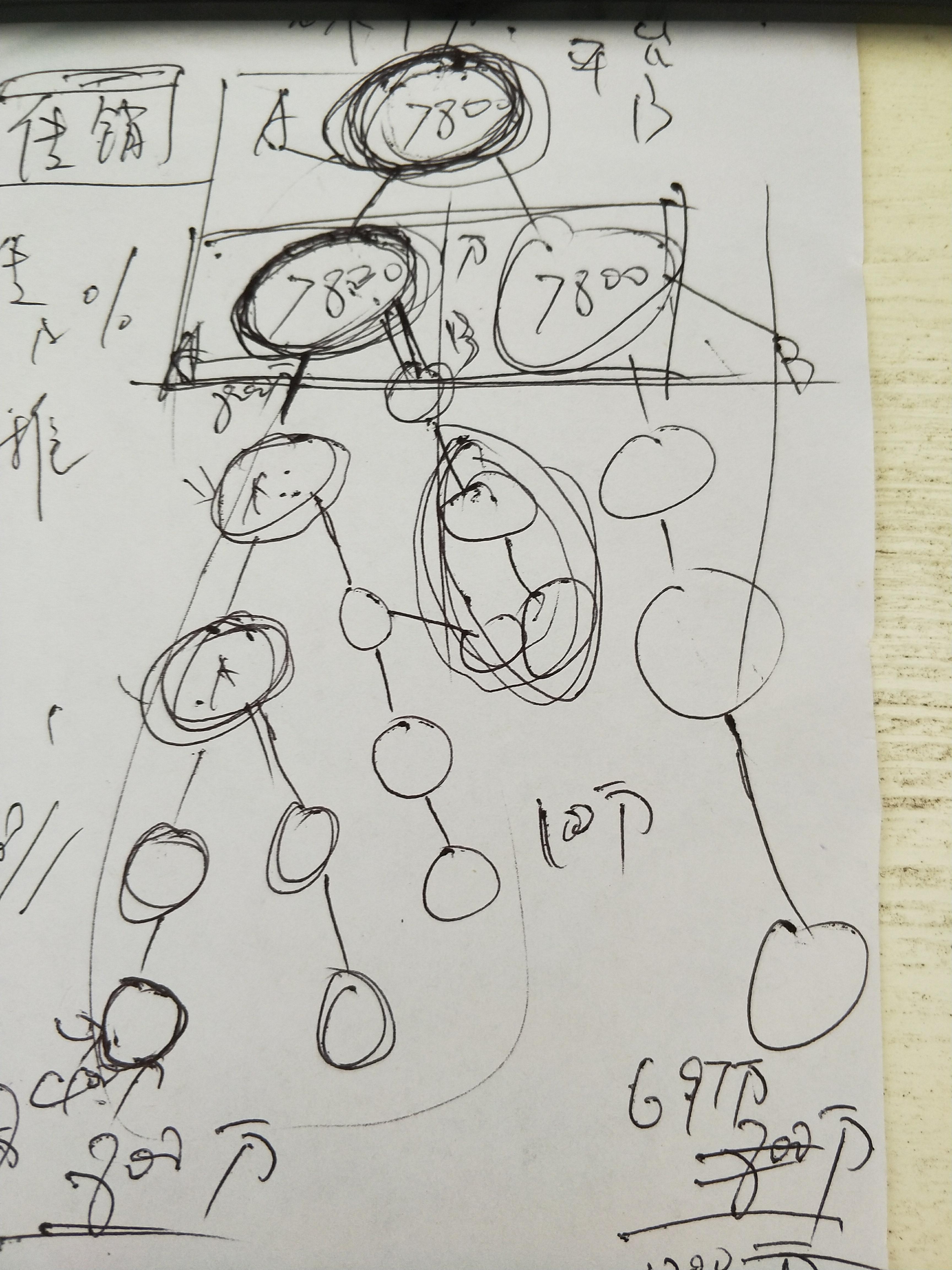 金天国际搞传销实在无耻,卖雪莲贴就是挂羊头