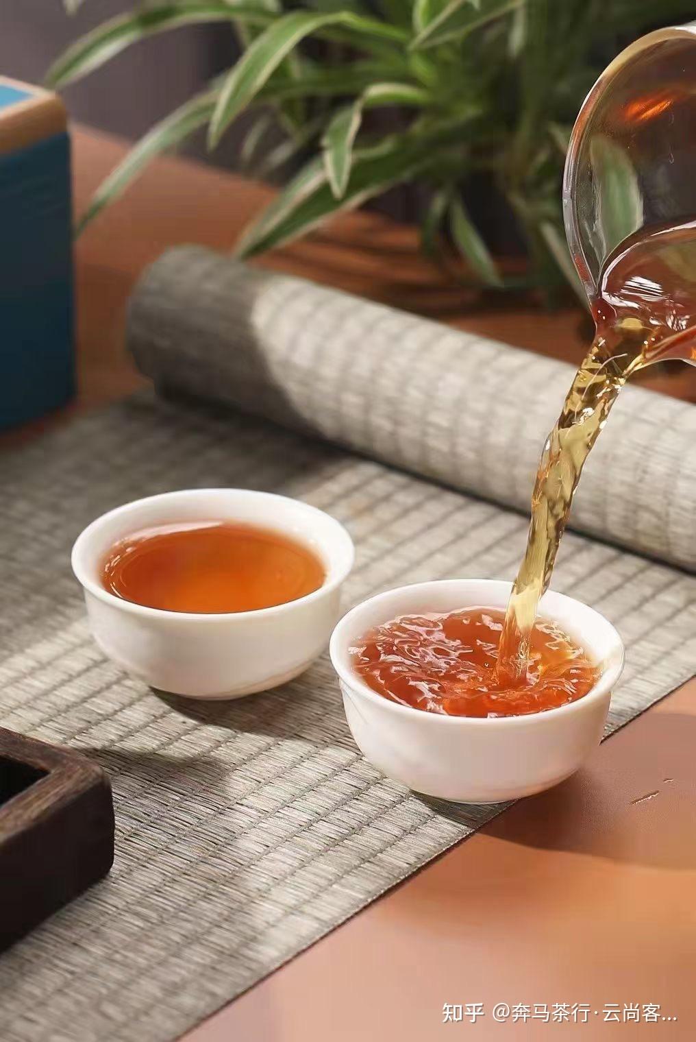 以茶会友茶叶是爱茶人永恒的情人