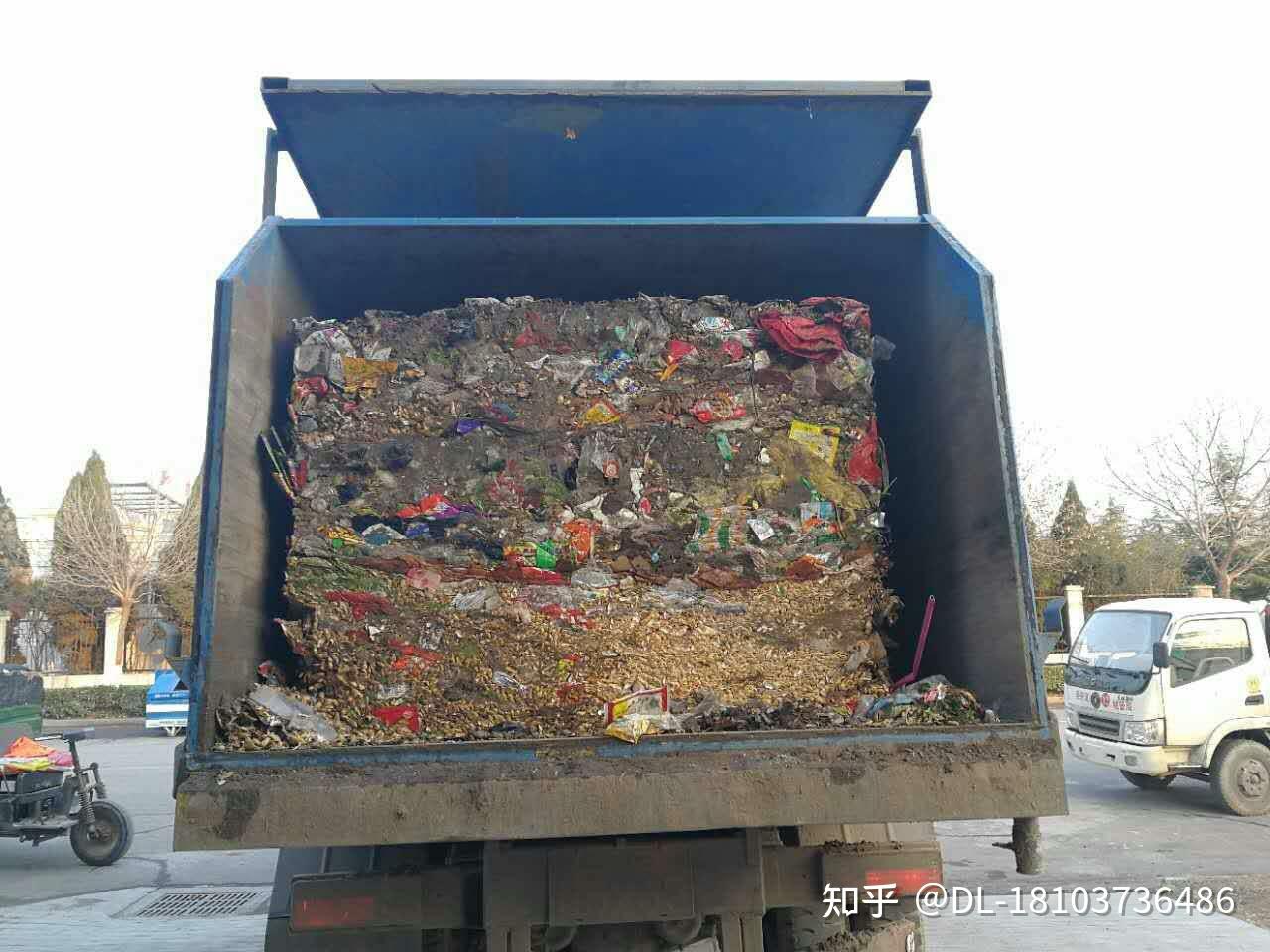 心得 SHEIN 你的雷雷伙伴 看板 eshopping 批踢踢實業坊