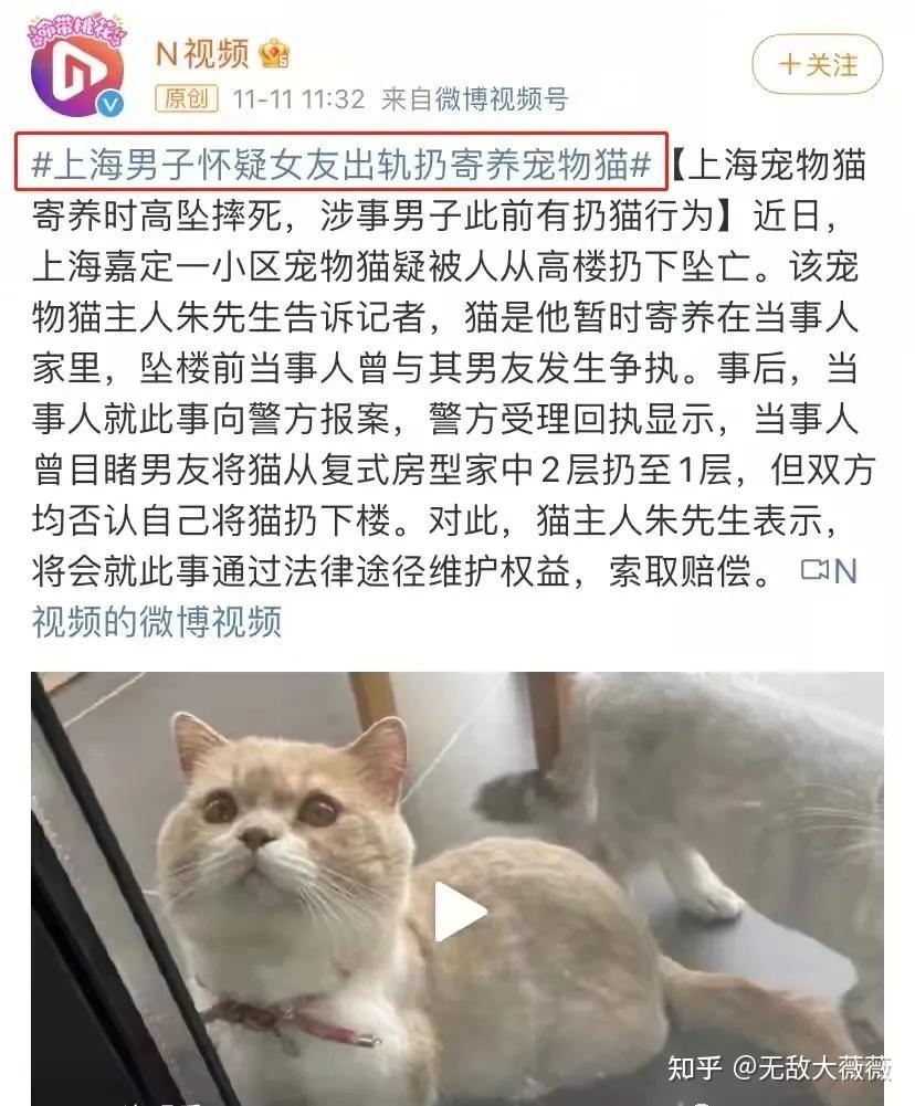 我带娃参与了一项国家司法部提案