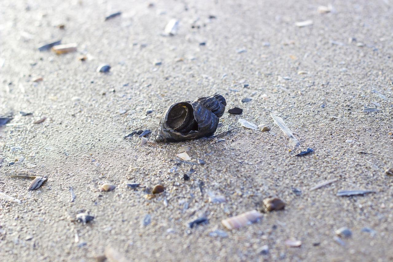 缓缓蠕动,蜗牛行速