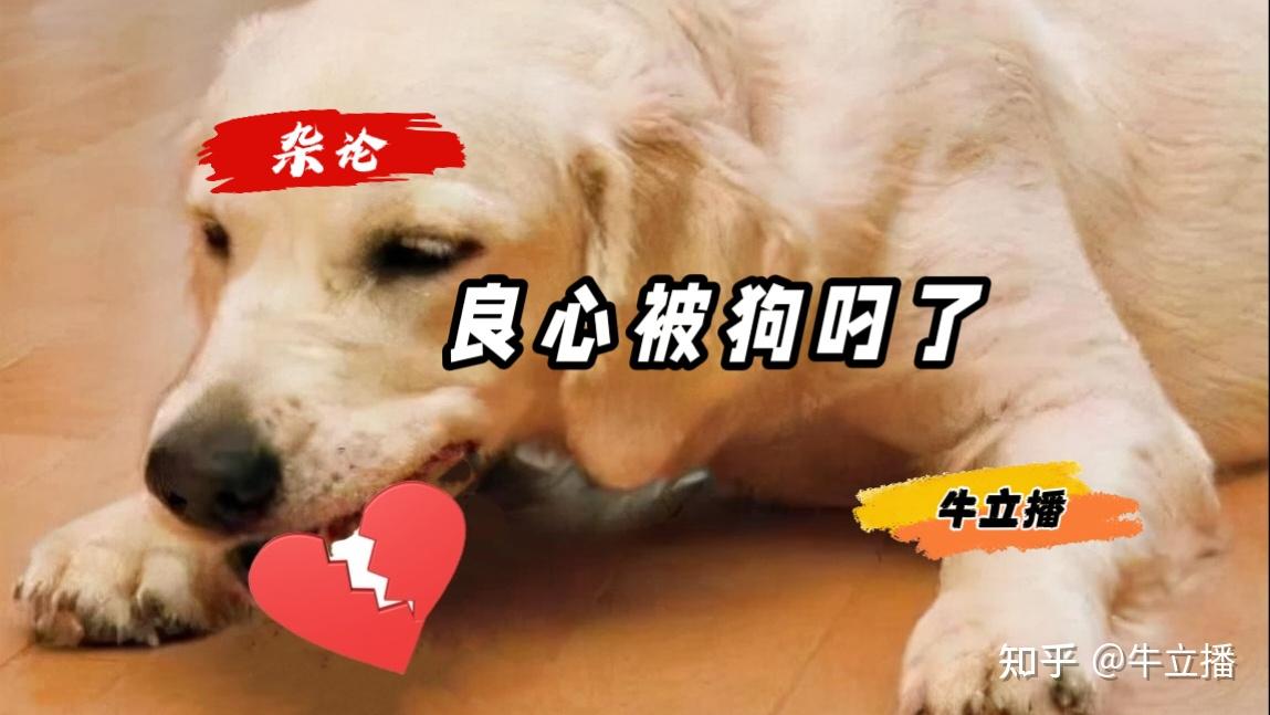 杂论:良心被狗叼了 - 知乎