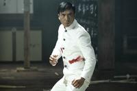 我们喜欢的是甄子丹的叶问