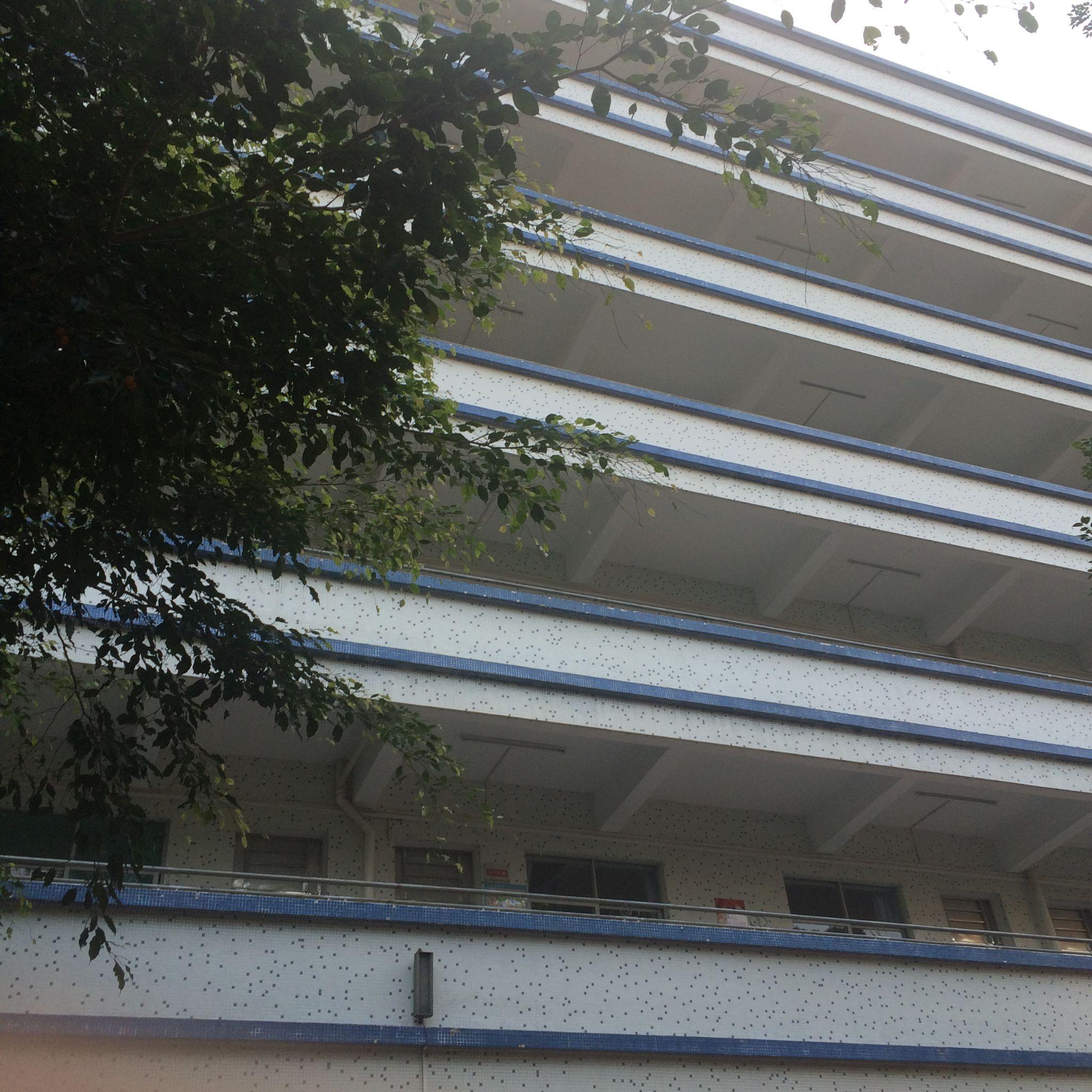 在惠阳崇雅中学原崇雅中学初中部就读是一种怎样的体验