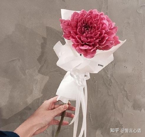 抖音配文必火霸气(抖音配文必火文案，赶快收藏吧！)