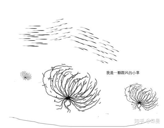 听说过上图这种植物,"风滚草"吗?