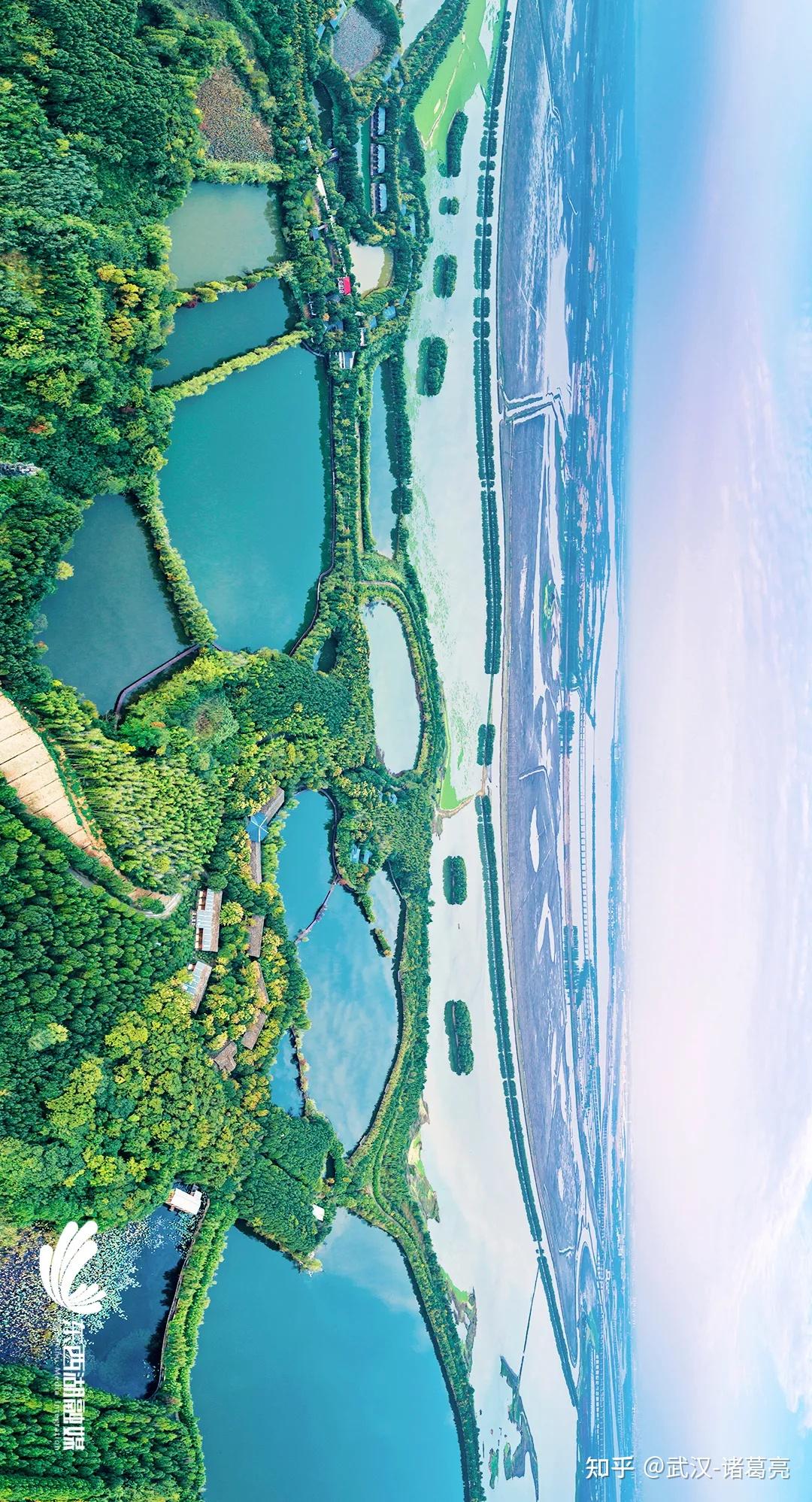 来看看武汉东西湖的美景 - 知乎