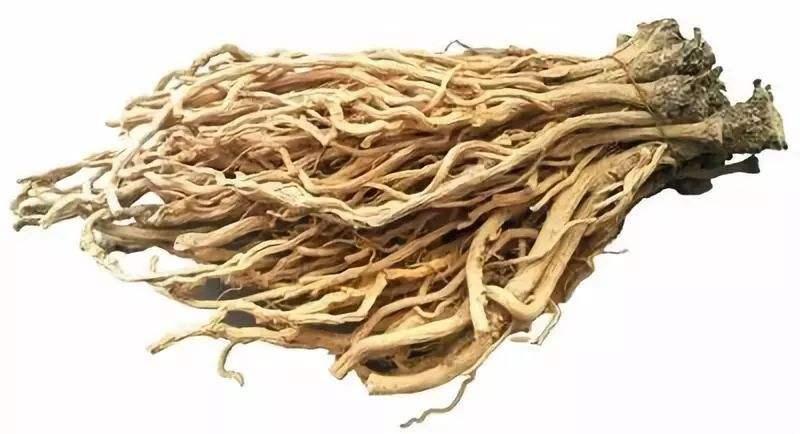 肺炎爆发抢购板蓝根有用吗乱用板蓝根后果有多严重