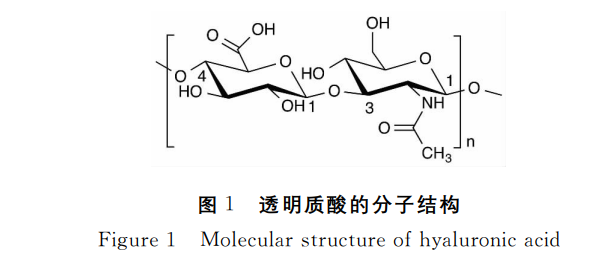 1,透明质酸分子结构