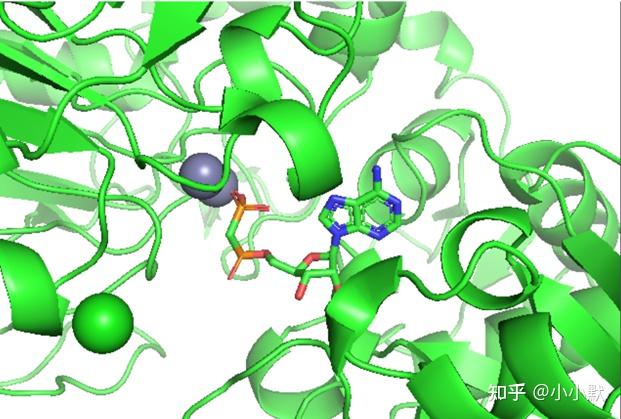 Pymol绘图教程（自用） - 知乎