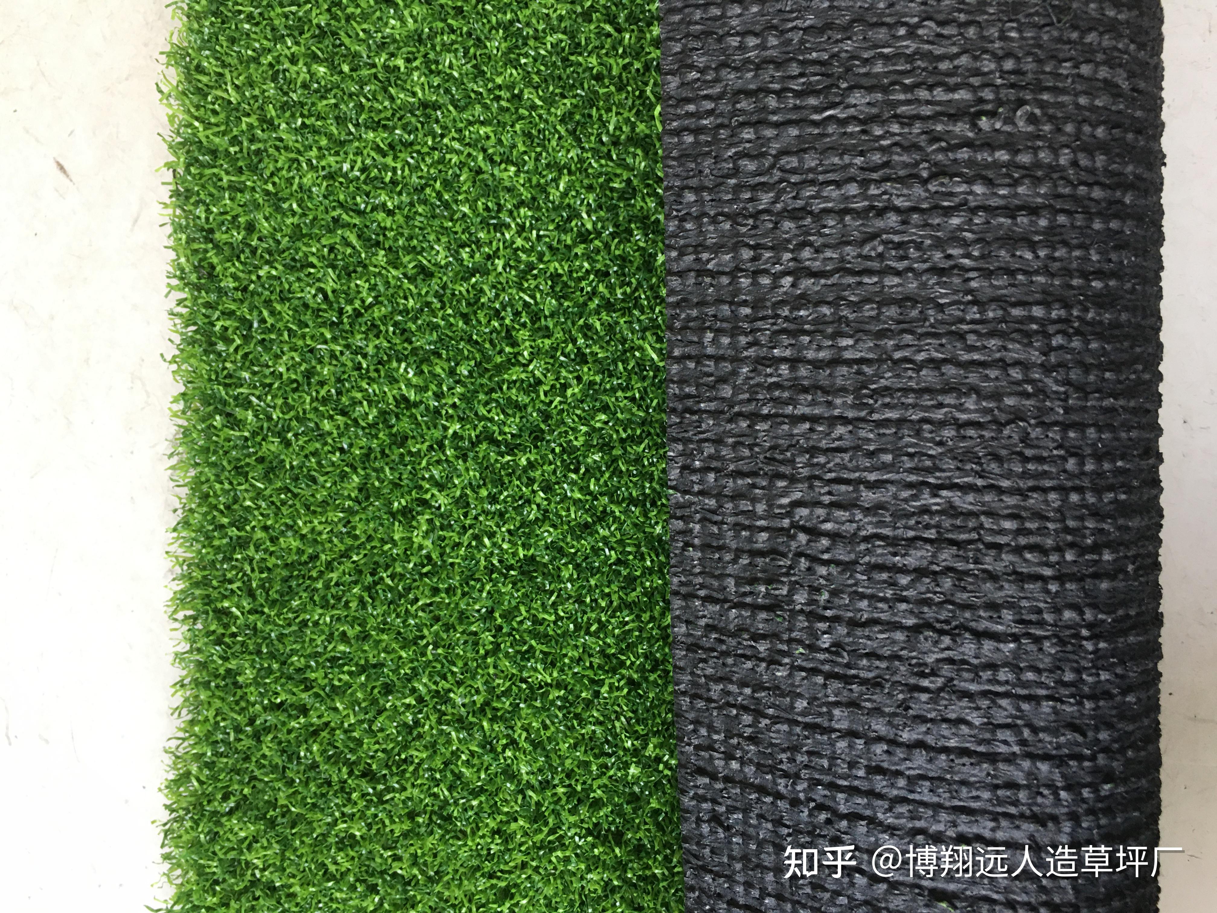 门球人造草坪哪种好