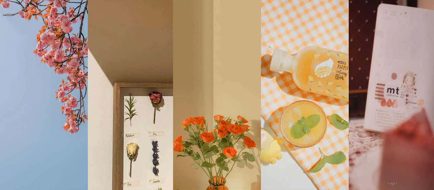 高级感小众ins壁纸 Ins高级质感背景图 很小众