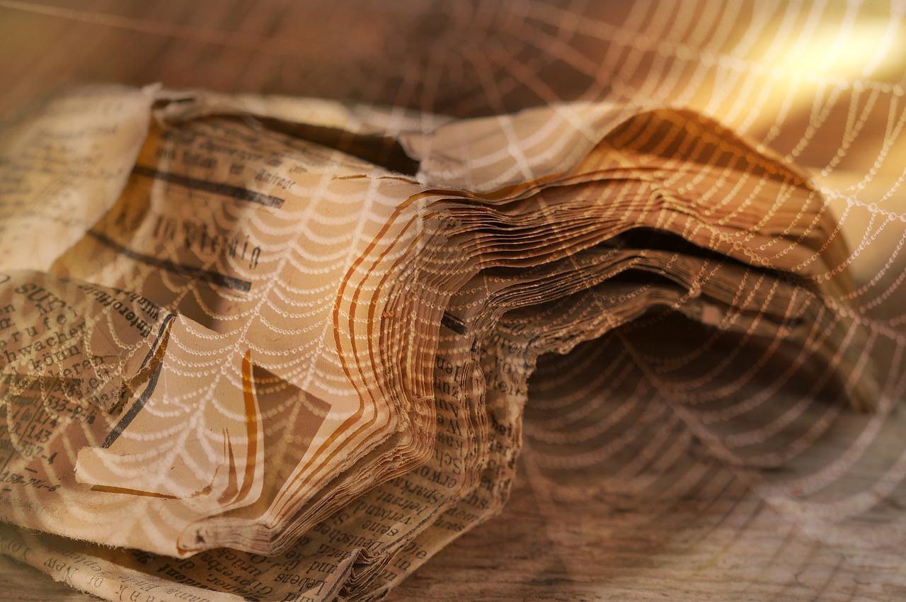 花园里的蝴蝶飞舞