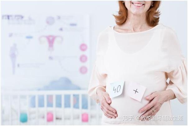 试管婴儿需要子宫孕育吗多少钱一次？