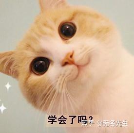 哪里买猫粮 猫砂 猫用品最方便最便宜 知乎 哪里买猫粮 猫砂 猫用品最方便最便宜 知乎