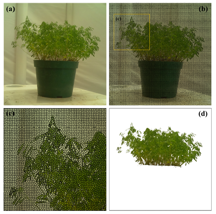 植物表型资讯|植物表型在生态修复中的应用 - 知乎