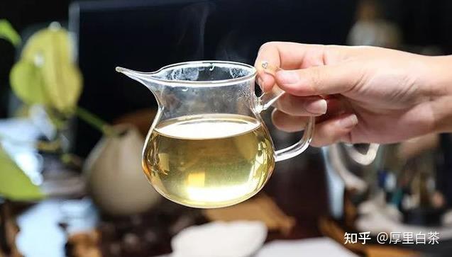 白茶一般泡多久?如何出汤才会更好喝? - 知乎