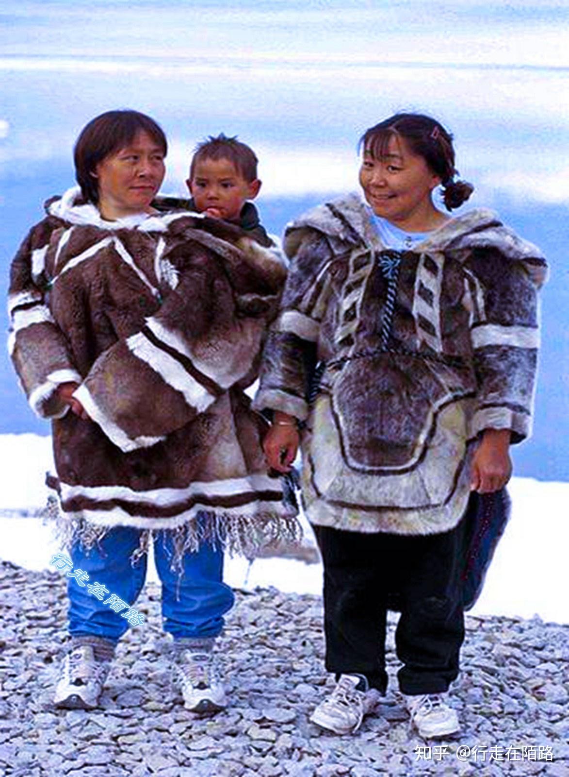 【纪录片】北极圈上的黄种人：因纽特人（30集） | 自由微信 | FreeWeChat