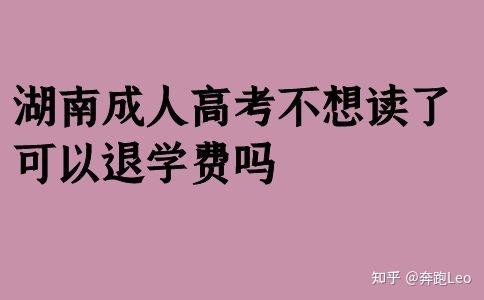 湖南信息职业技术学院分数线_湖南信息职业学院专业_湖南信息职业技术学院的专业